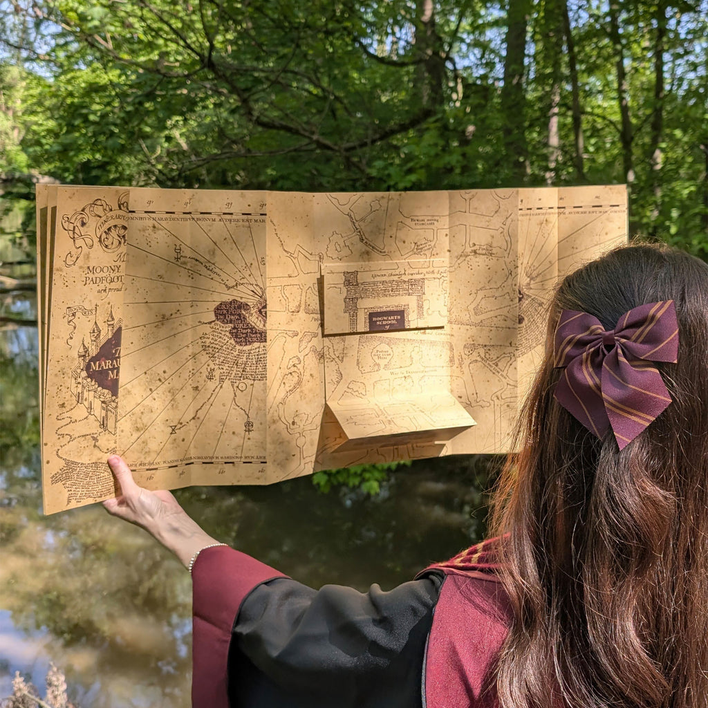 Zdjęcie produktu Mapa Huncwotów