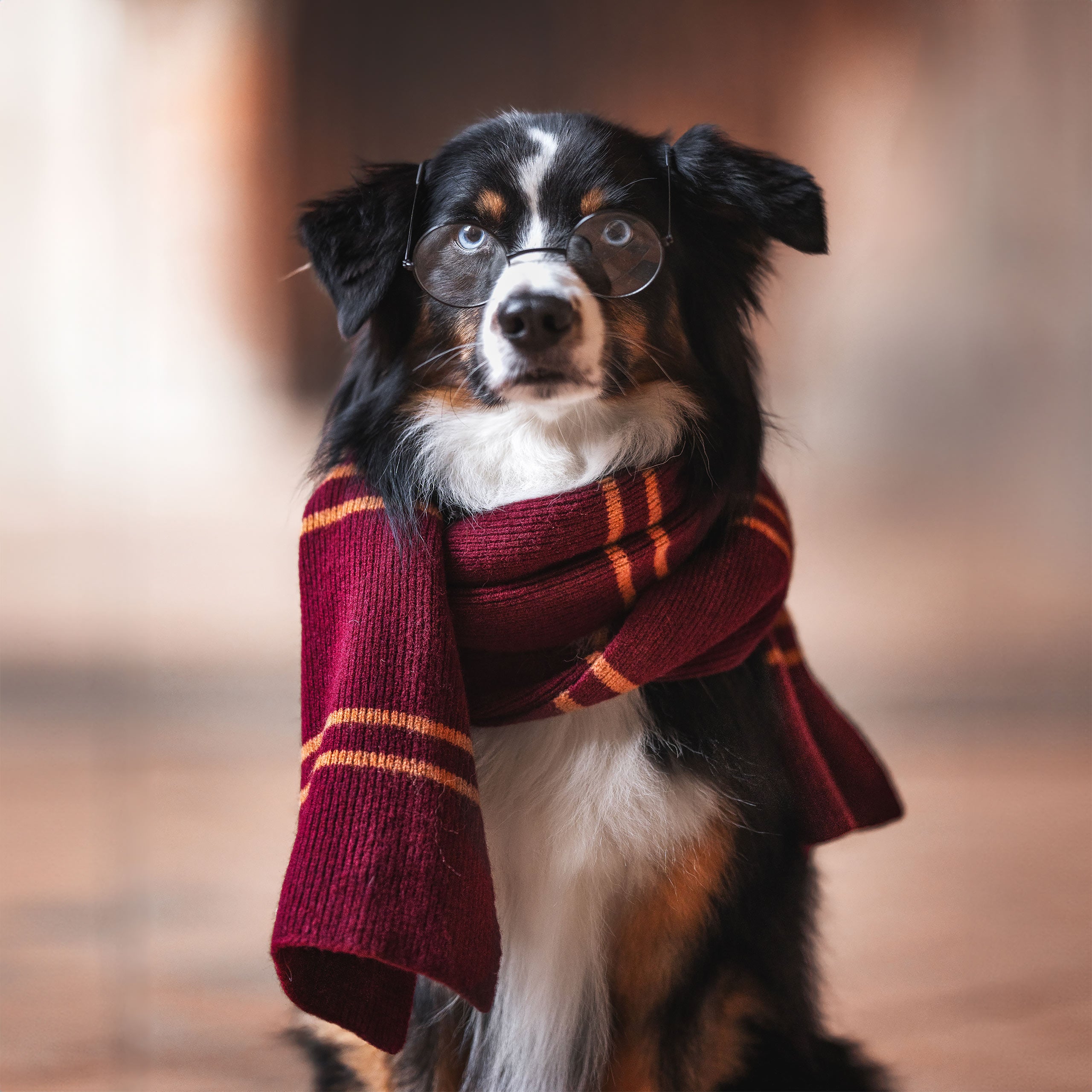 Zdjęcie produktu Harry Potter - Oryginalny wełniany szalik Gryffindor