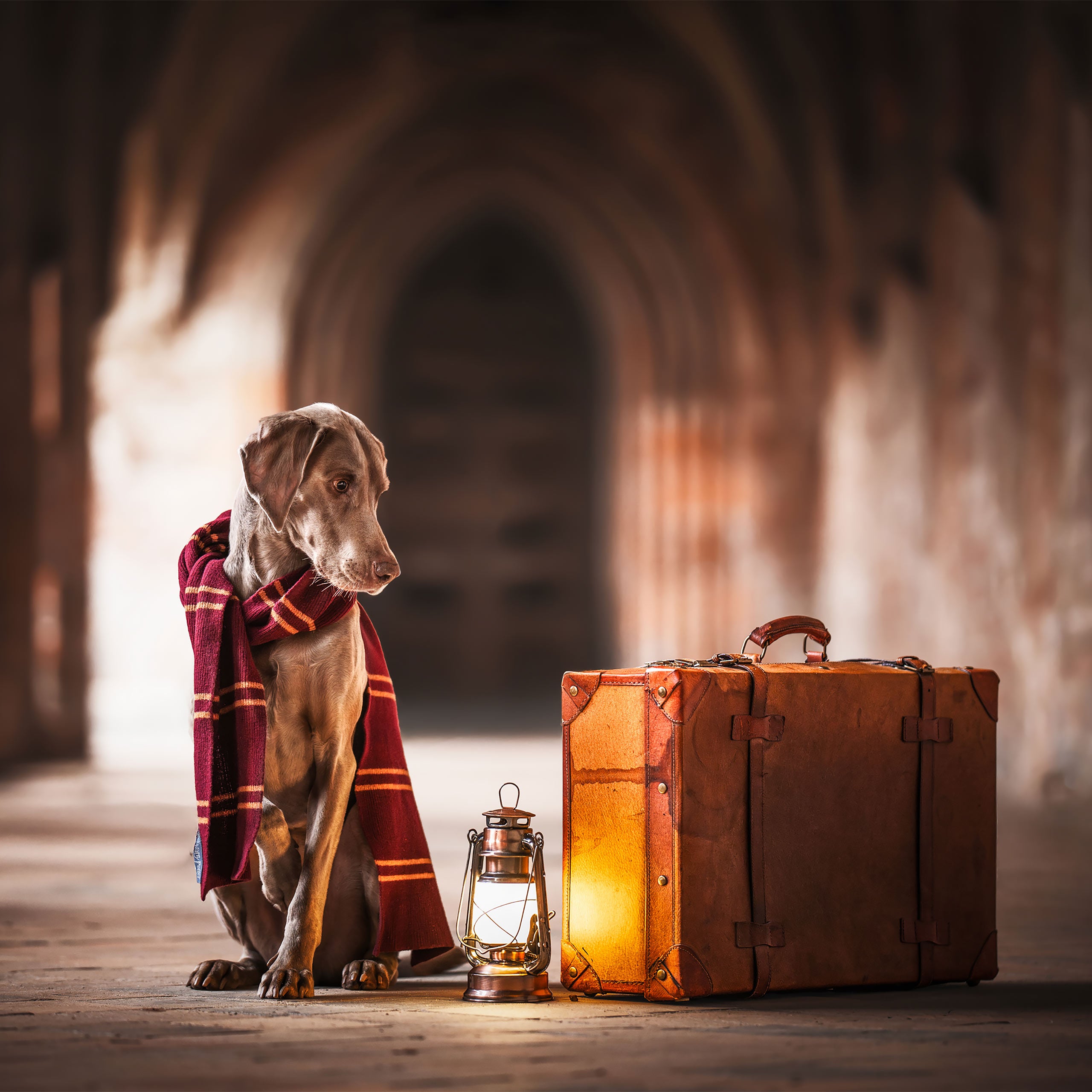 Zdjęcie produktu Harry Potter - Oryginalny wełniany szalik Gryffindor