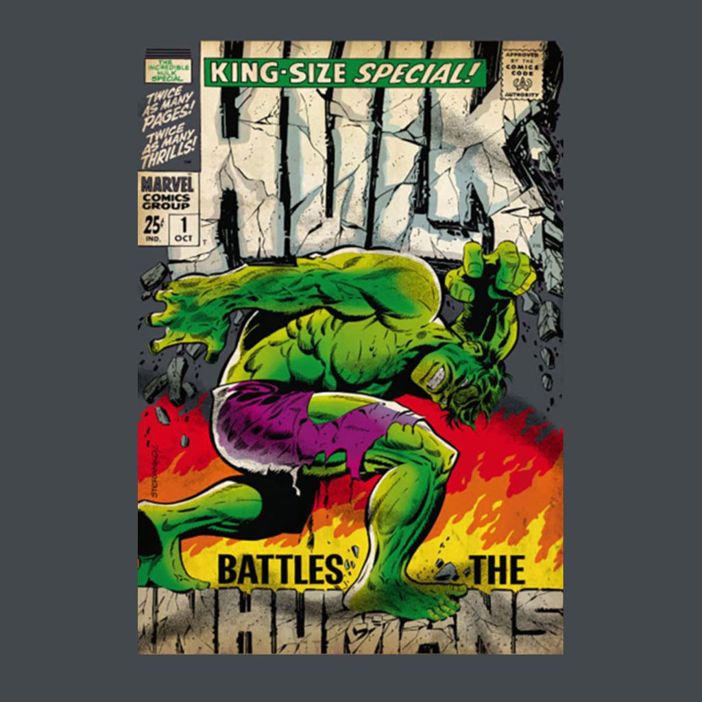 Zdjęcie produktu Hulk - Marvel Poster T-Shirt szary