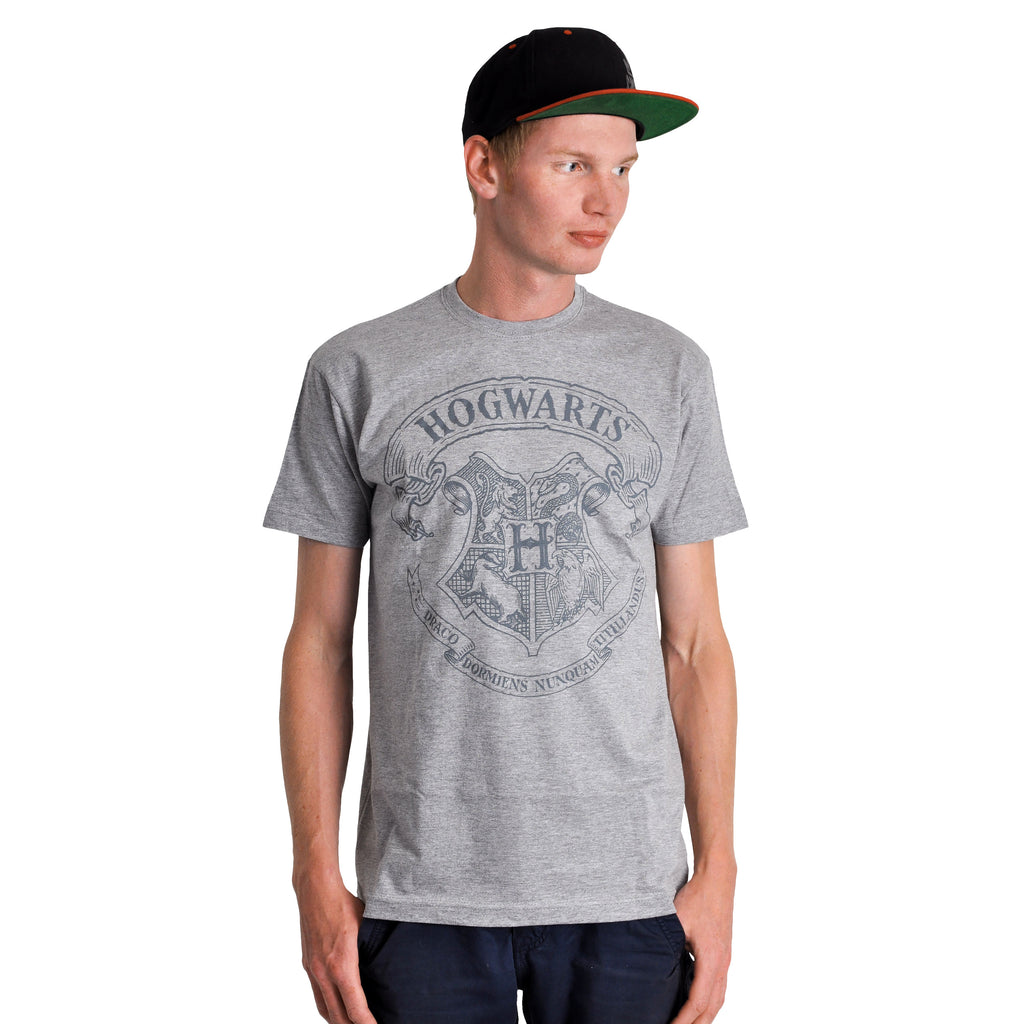 Product image Harry Potter - Logo T-Shirt Grey