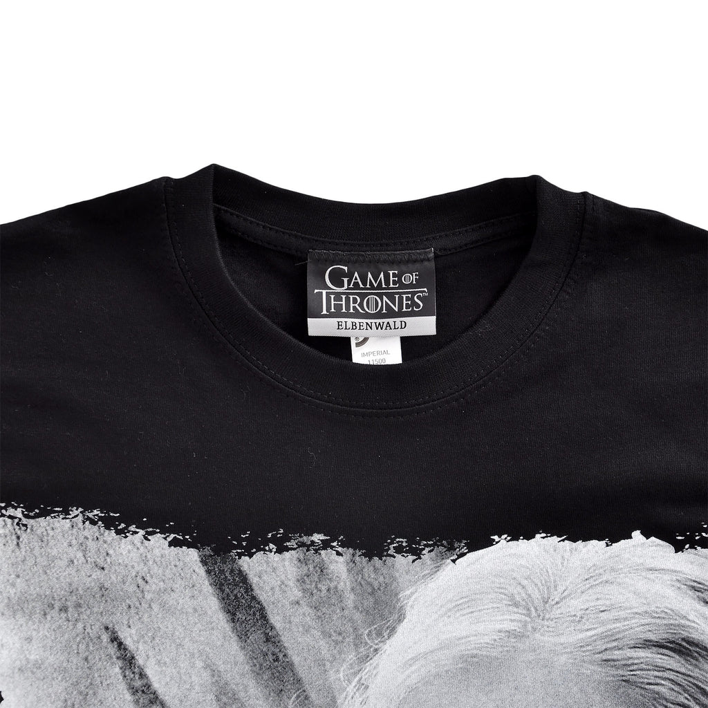 Zdjęcie produktu Gra o Tron - Daenerys Fire and Blood Koszulka