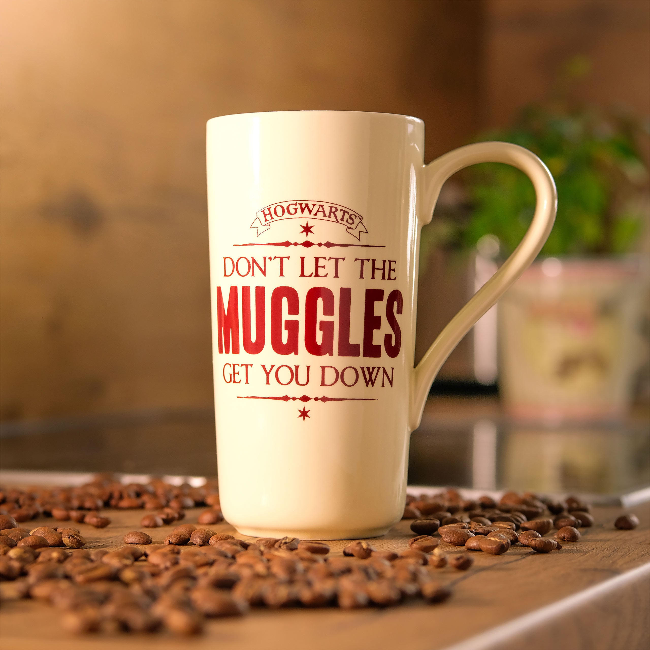 Zdjęcie produktu Harry Potter - Kubek Mugol XXL
