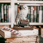 Zdjęcie produktu Hedwiga - Harry Potter Magiczne Stworzenia Figurka