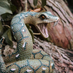 Zdjęcie produktu Nagini - Harry Potter Magiczne Stworzenia Figurka