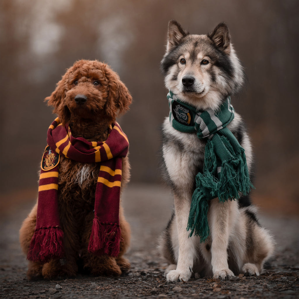 Zdjęcie produktu Harry Potter - Szalik Gryffindor żółto-czerwony