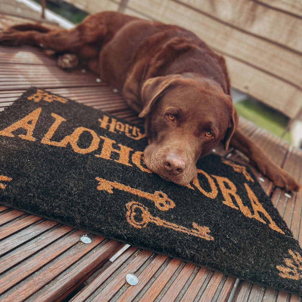 Product image Harry Potter - Alohomora Doormat