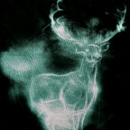 Zdjęcie produktu Harry Potter - Patronus T-Shirt czarne