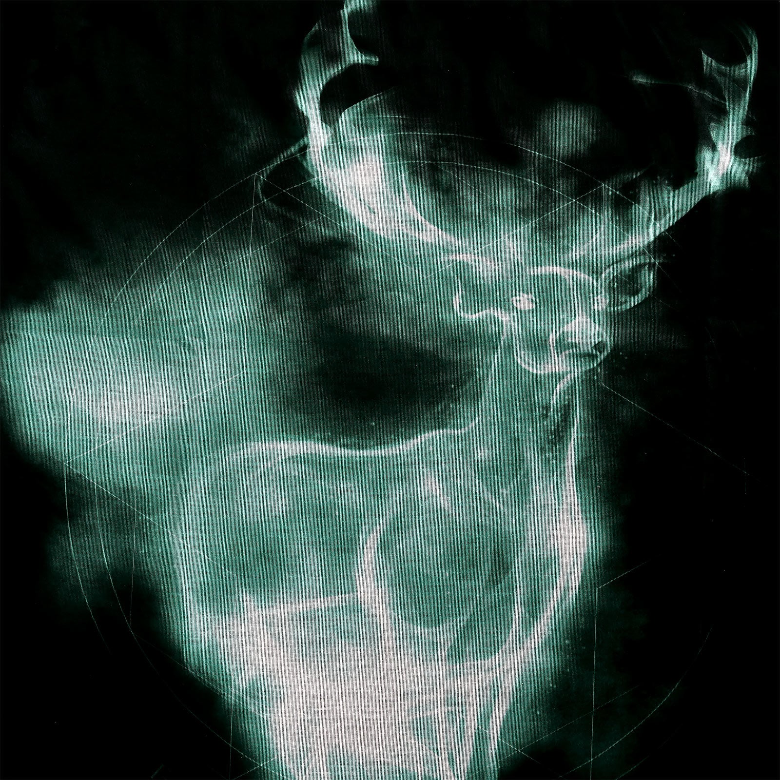 Zdjęcie produktu Harry Potter - Patronus T-Shirt czarne