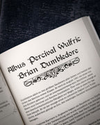 Zdjęcie produktu Harry Potter - Nieoficjalna Księga Magii
