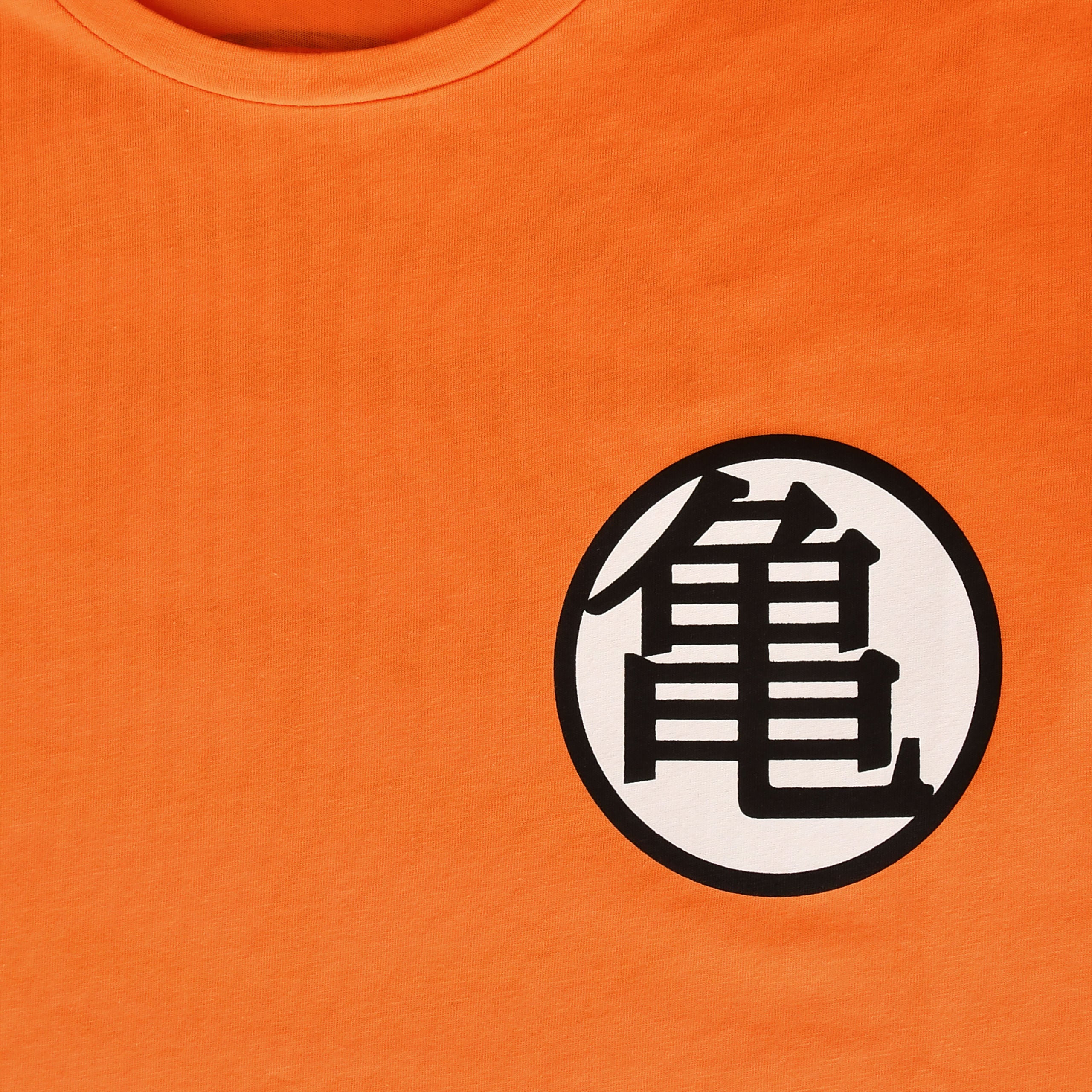 Zdjęcie produktu Dragon Ball - Kaio Distressed T-Shirt pomarańczowy