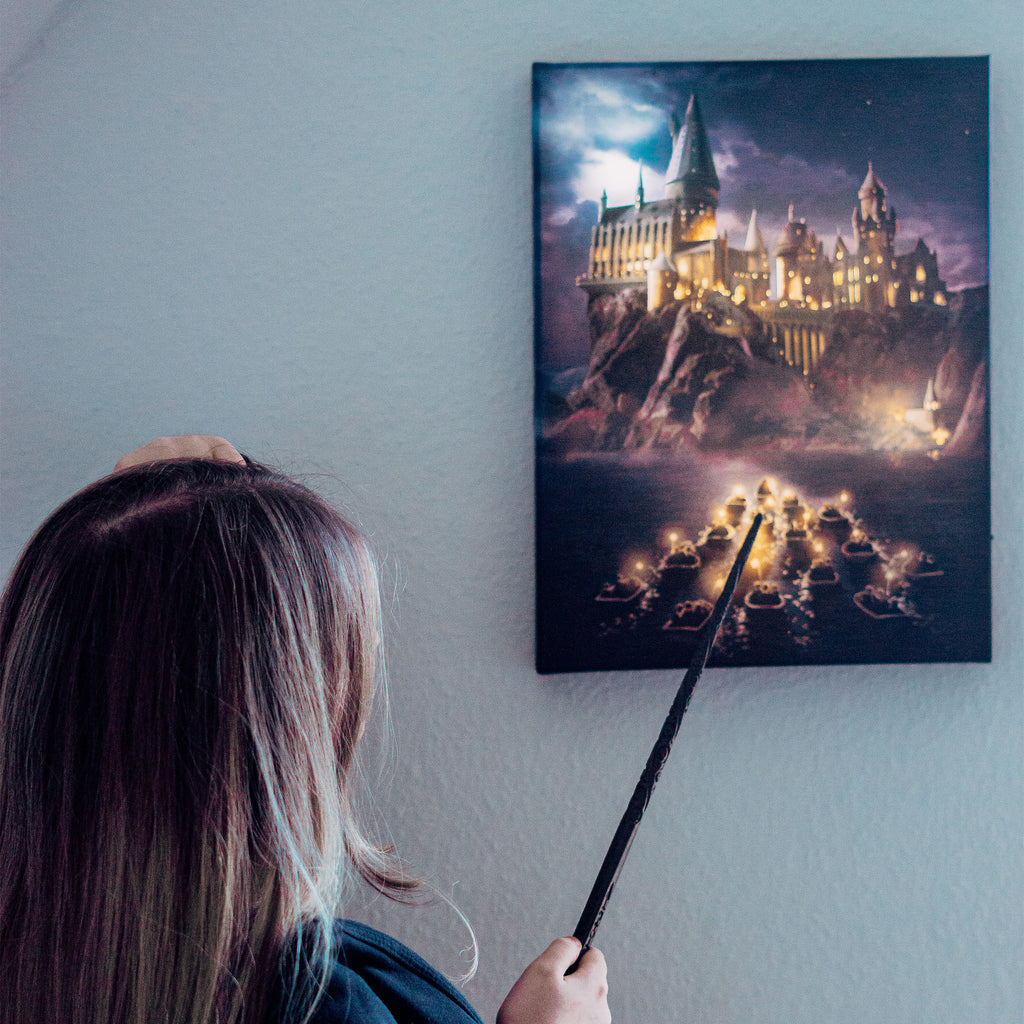 Zdjęcie produktu Harry Potter - Obraz na ścianę z oświetleniem Hogwart