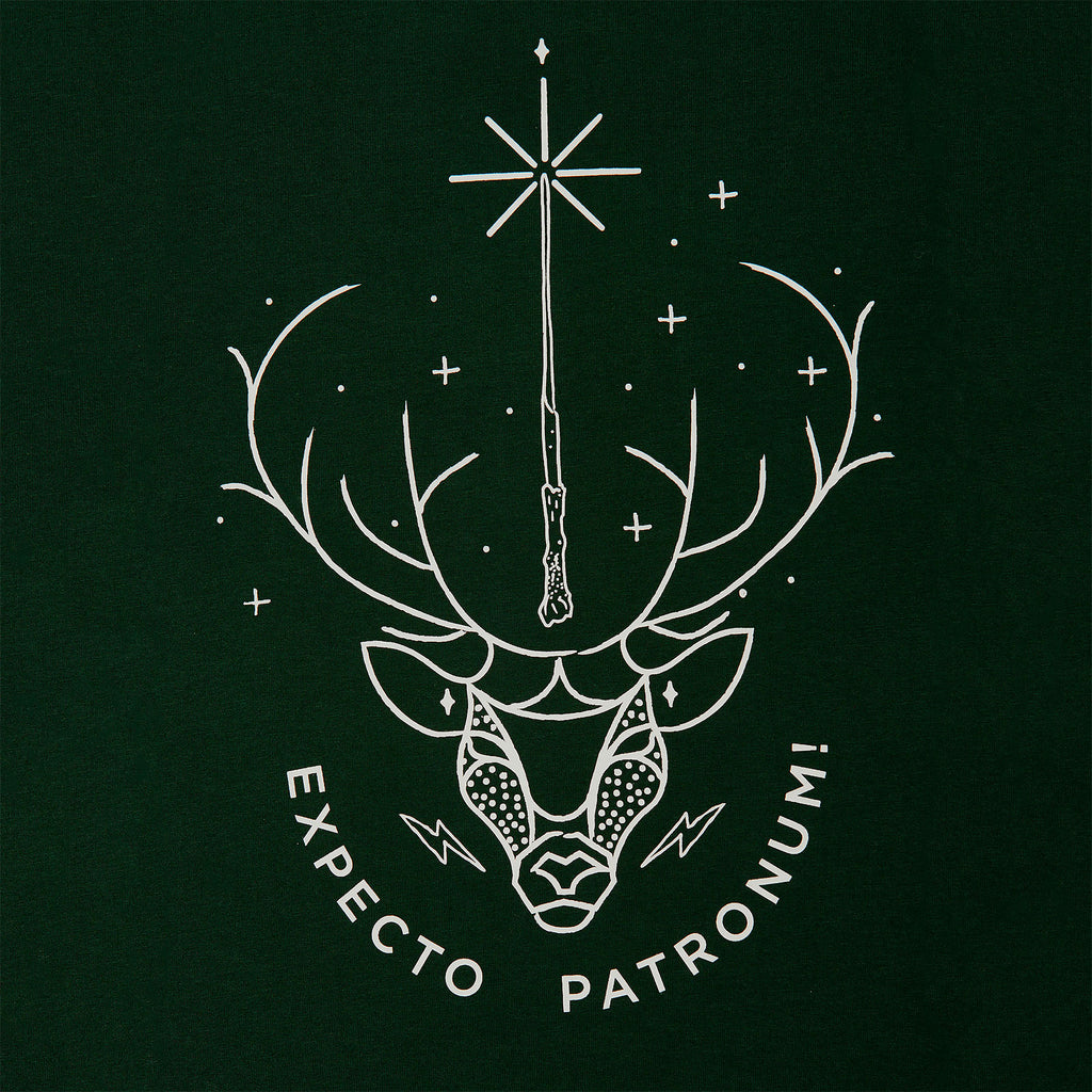 Zdjęcie produktu Harry Potter - Expecto Patronum T-Shirt zielony