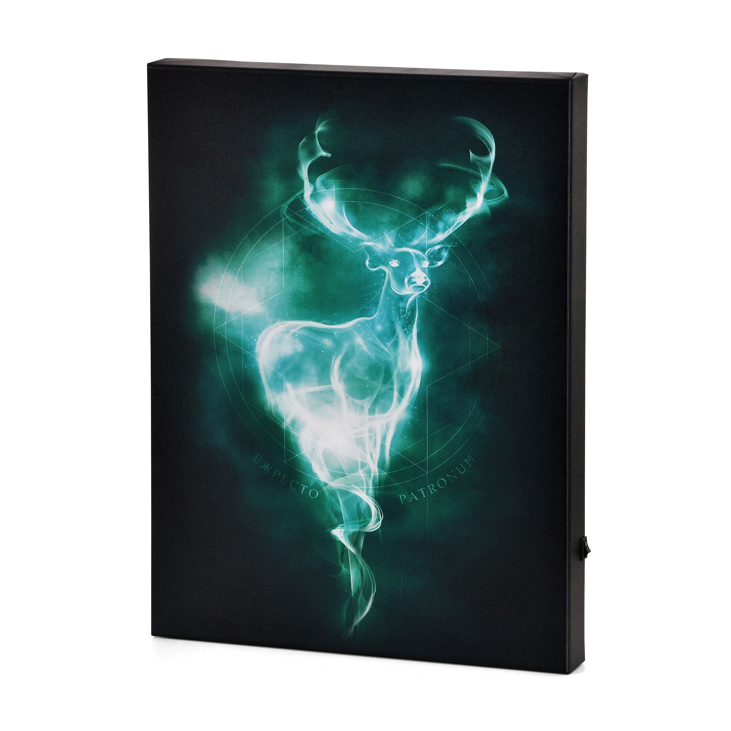 Zdjęcie produktu Harry Potter - Obraz Patronus z podświetleniem