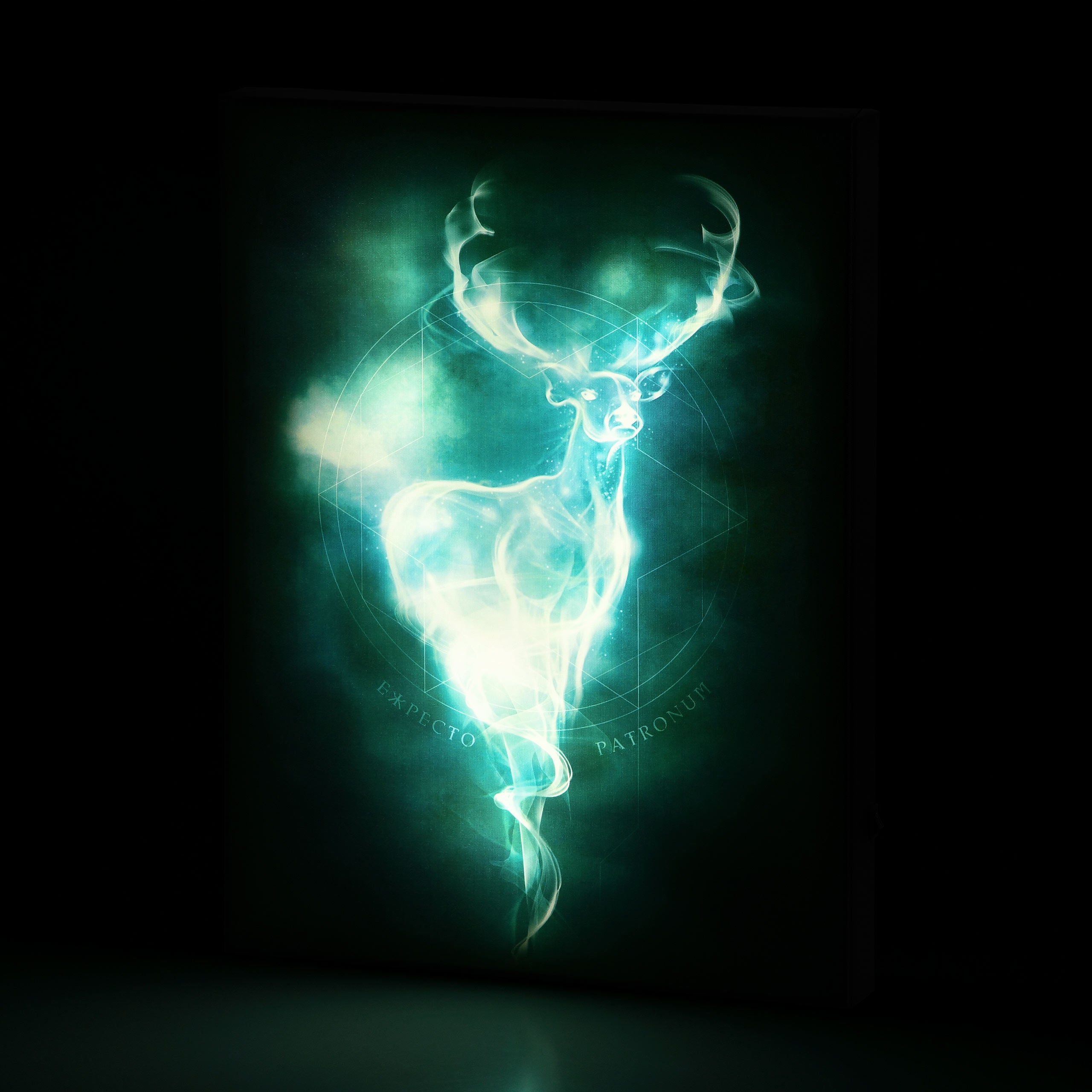 Zdjęcie produktu Harry Potter - Obraz Patronus z podświetleniem