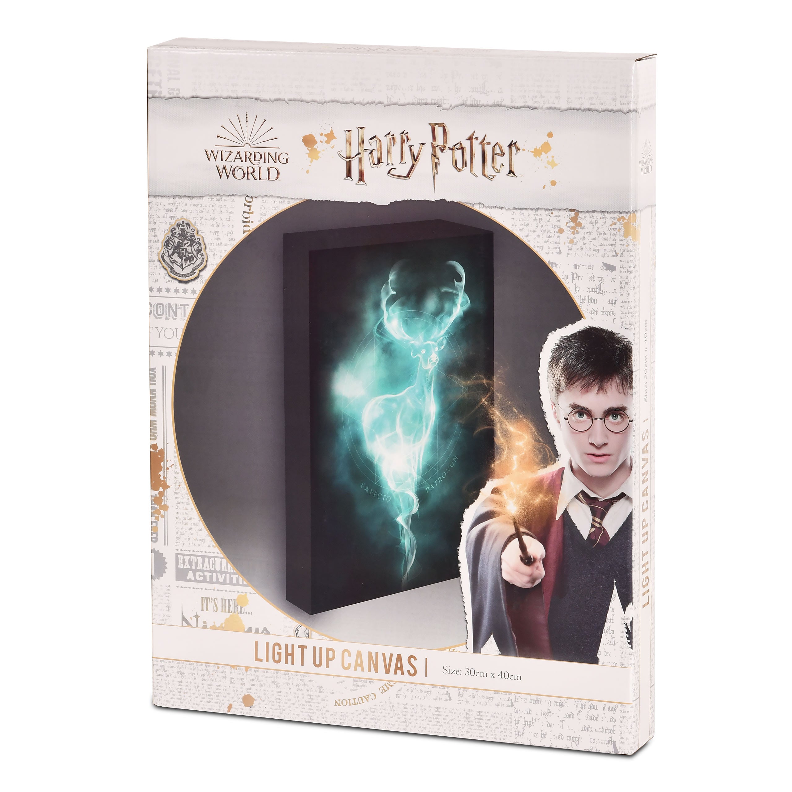 Zdjęcie produktu Harry Potter - Obraz Patronus z podświetleniem