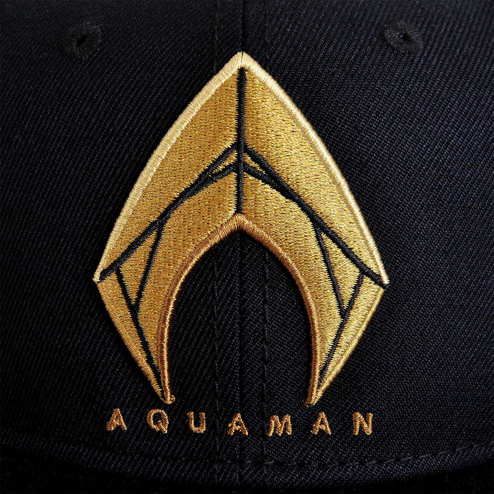 Product image Aquaman Logo Snapback Cap - Justice League