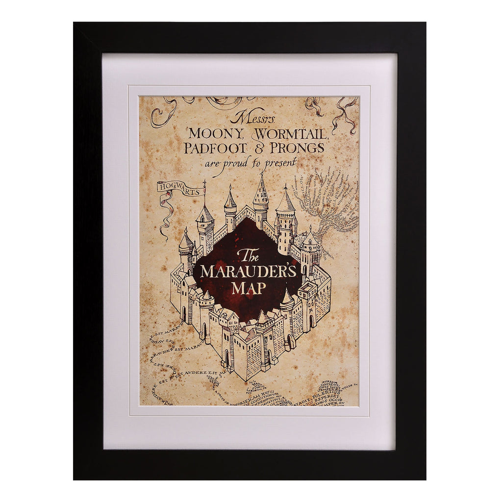 Zdjęcie produktu Harry Potter - Mapa Huncwotów Obraz na ścianę