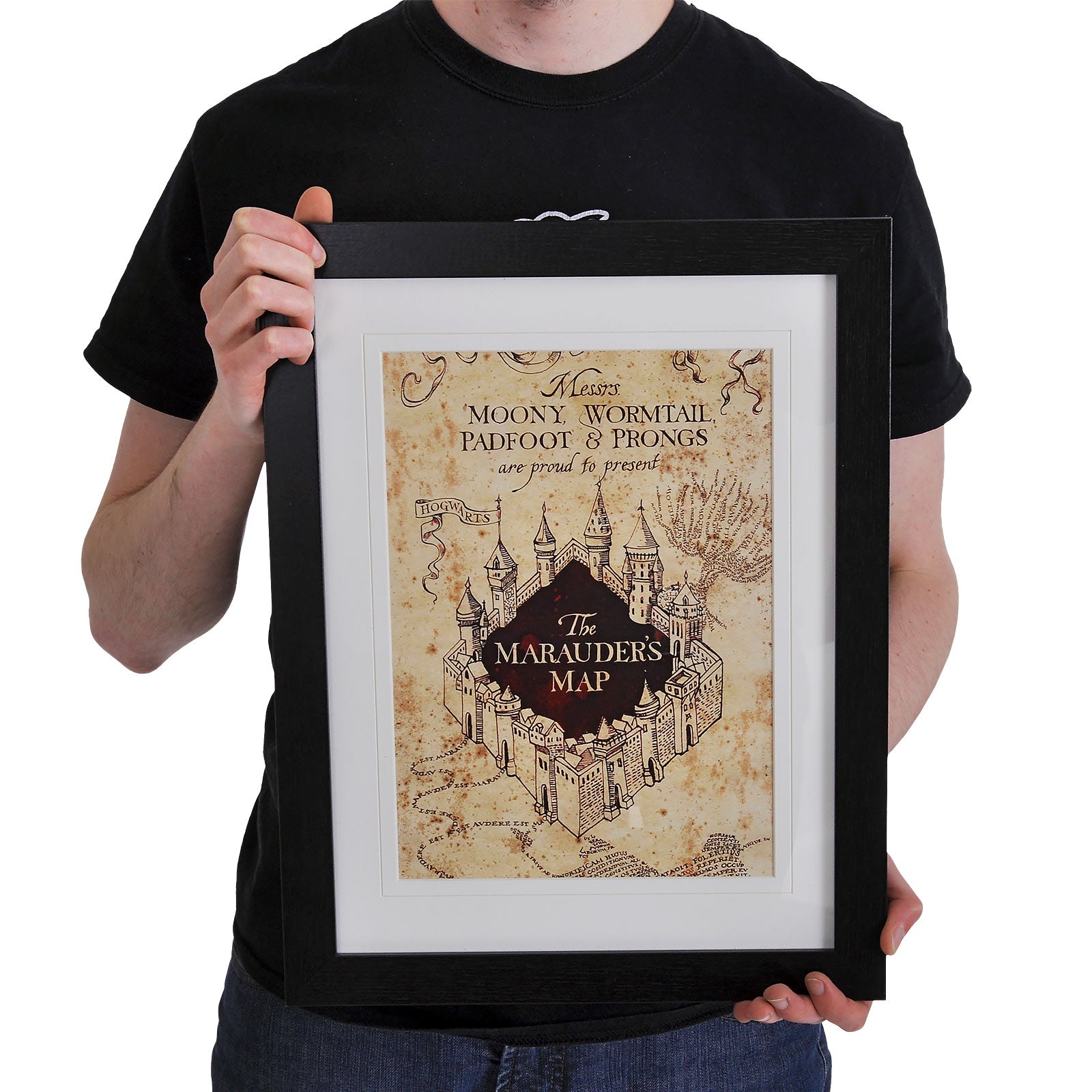 Zdjęcie produktu Harry Potter - Mapa Huncwotów Obraz na ścianę