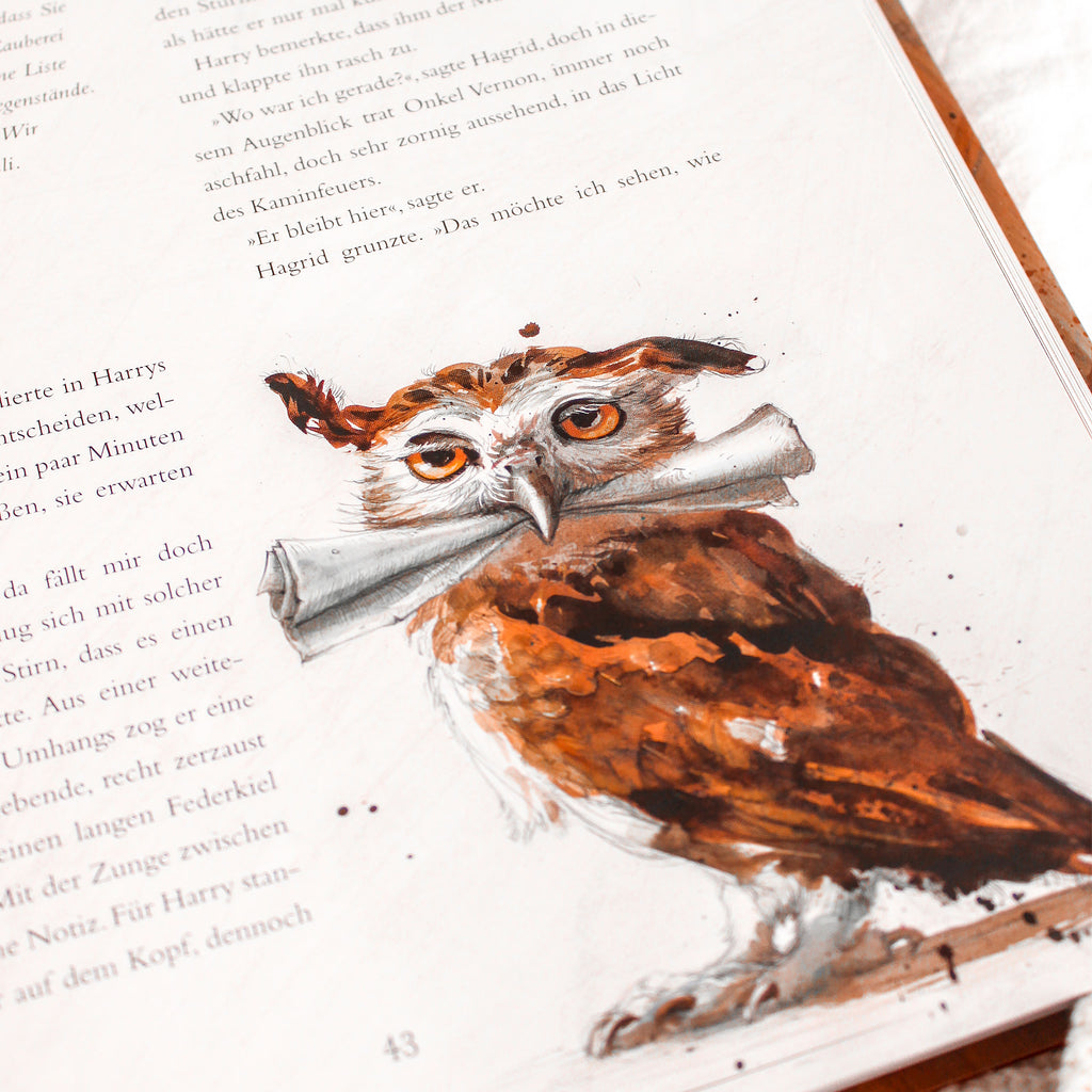 Zdjęcie produktu Harry Potter i Kamień Filozoficzny - Wydanie kolekcjonerskie
