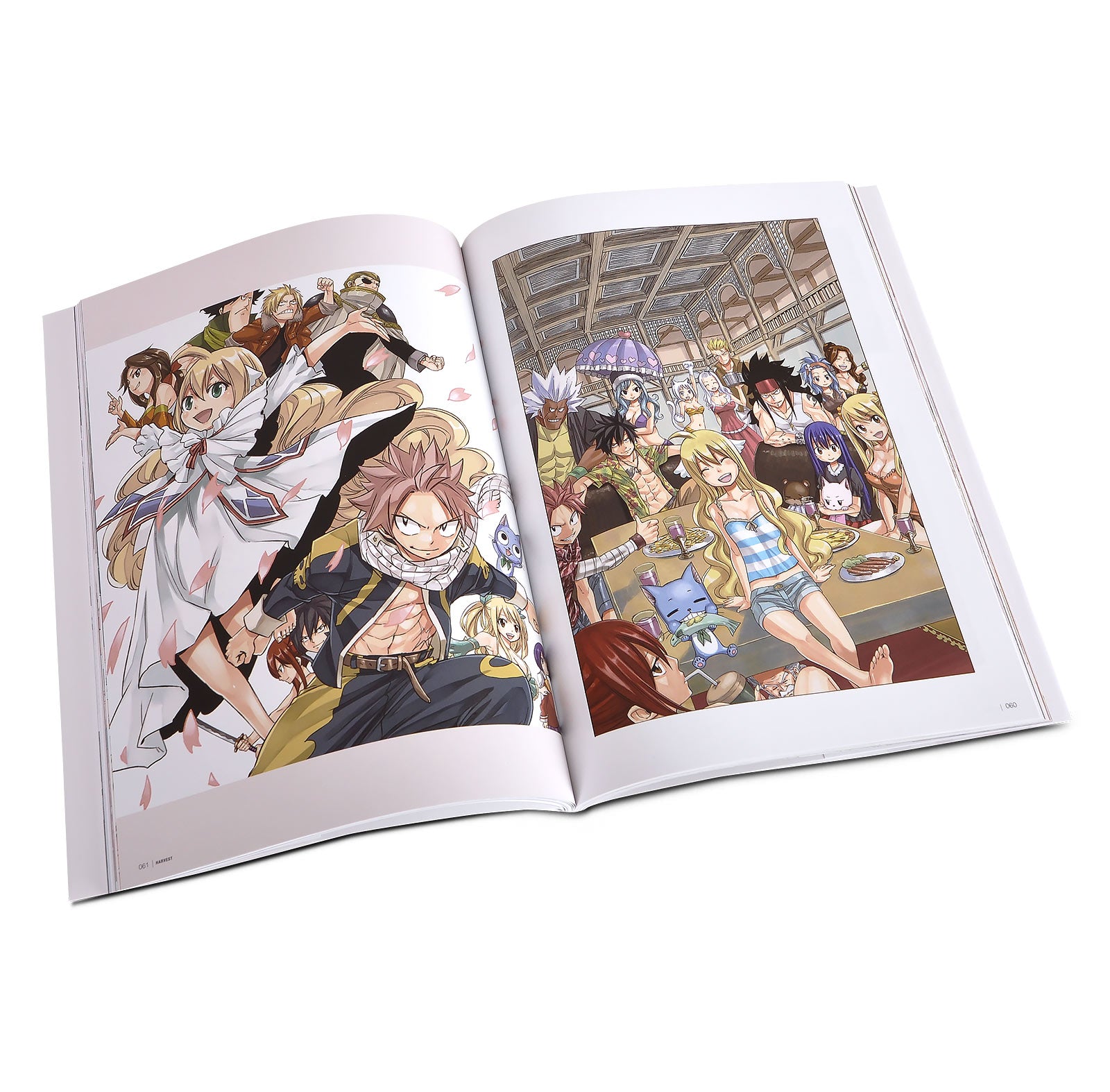 Zdjęcie produktu Fairy Tail - Harvest Artwork