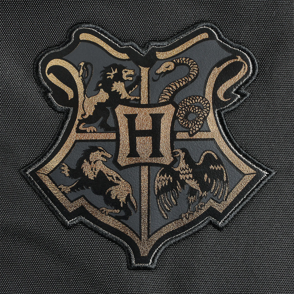 Zdjęcie produktu Harry Potter - Hogwarts Alumni Plecak