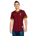 Zdjęcie produktu Harry Potter - Drużyna Quidditcha Gryffindor T-Shirt