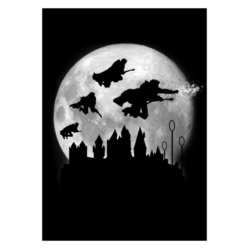 Zdjęcie produktu Magic Flight at Night Metalowy plakat dla fanów Harry'ego Pottera