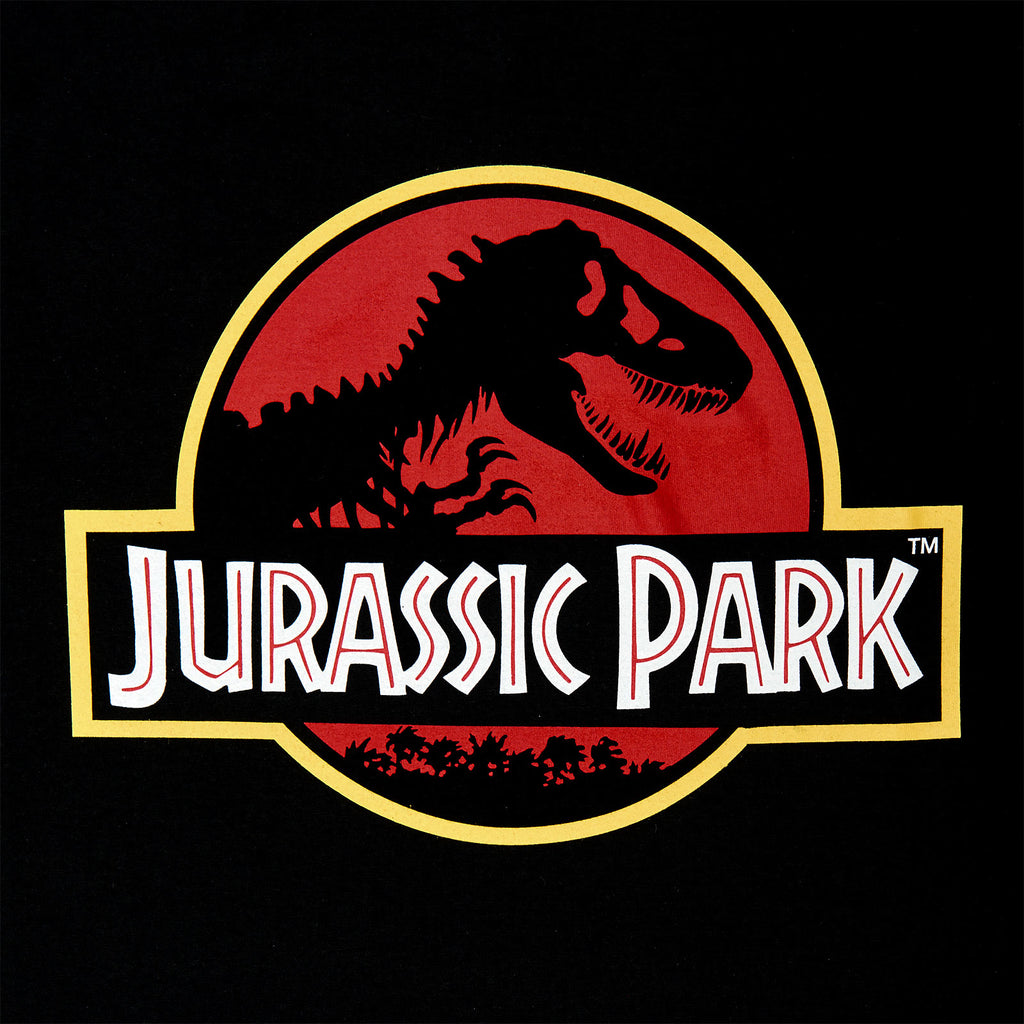 Zdjęcie produktu Jurassic Park - Logo Filmu Bluza z Kapturem czarna
