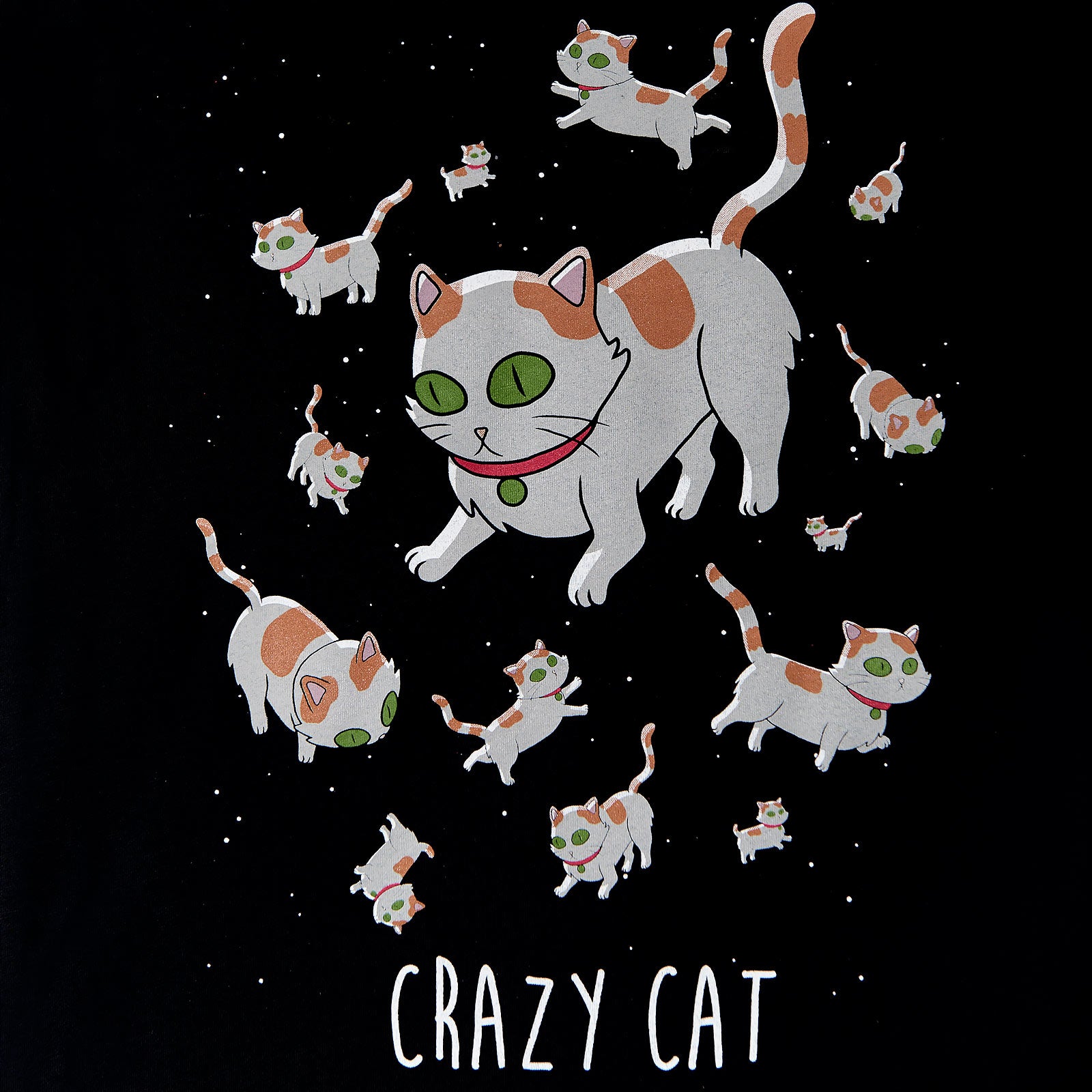 Zdjęcie produktu Rick and Morty - Crazy Cat T-Shirt damskie czarne