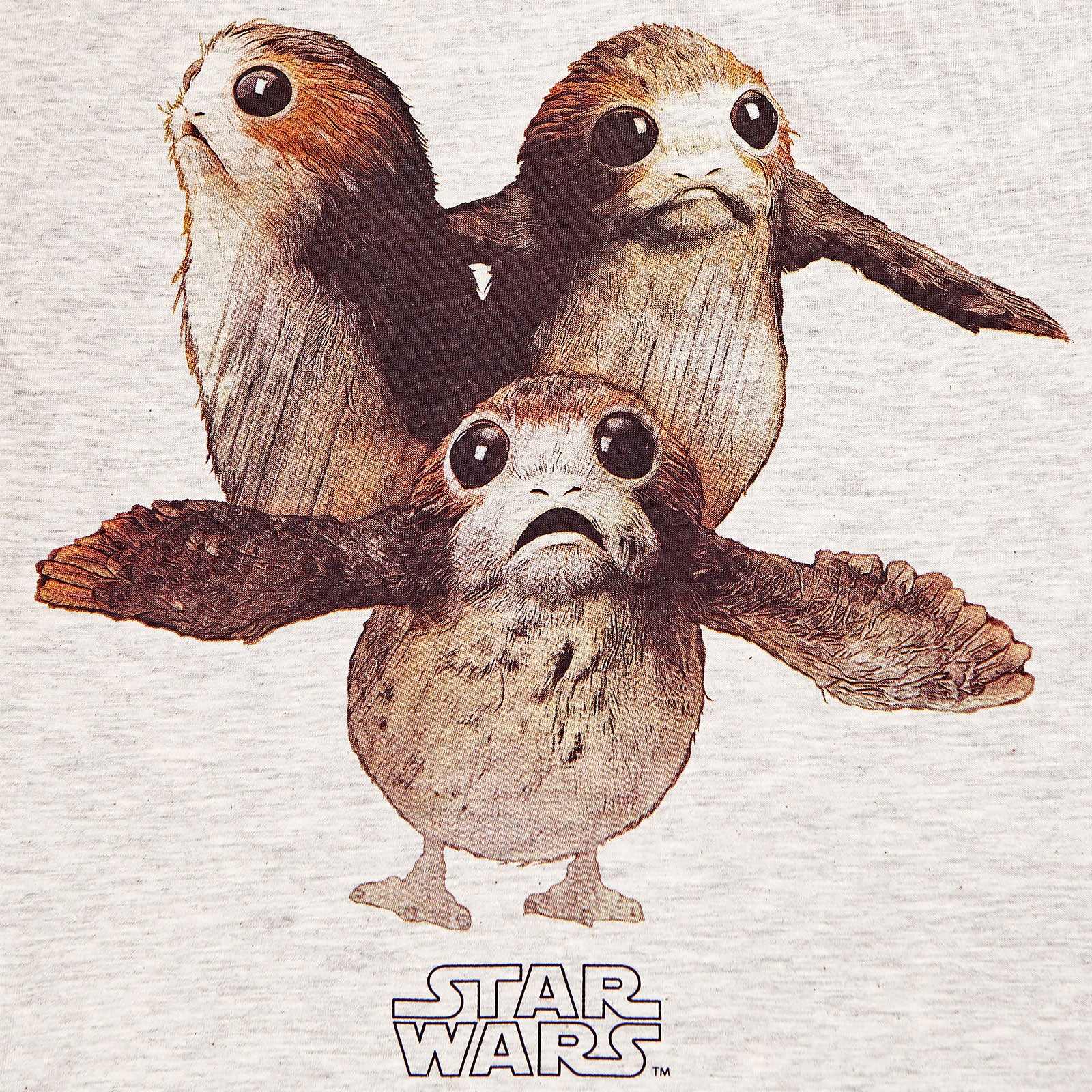 Zdjęcie produktu Star Wars - Triple Porg Longsleeve Damski