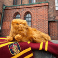 Zdjęcie produktu Harry Potter - Pluszowa figurka Krzywołapa 43 cm