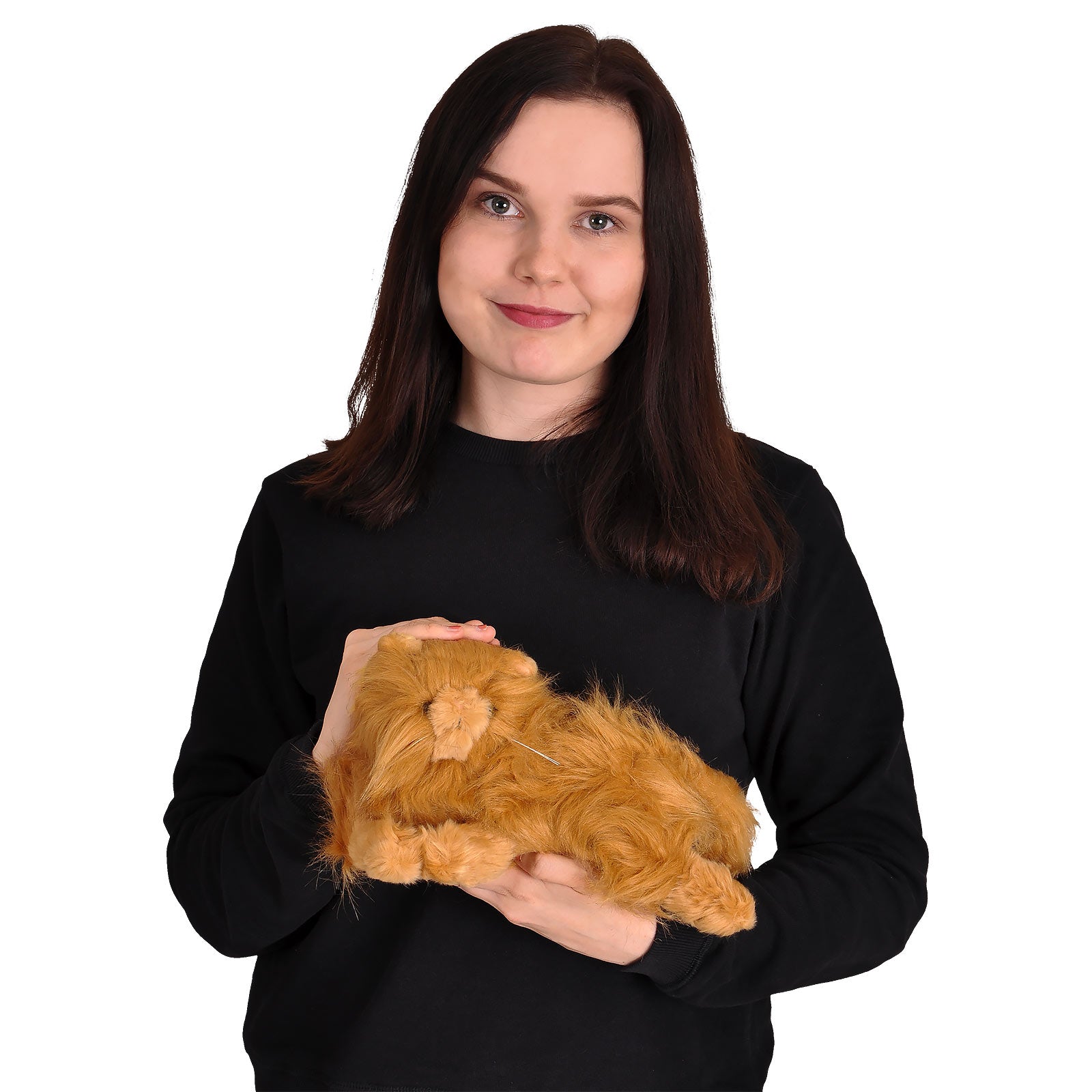 Zdjęcie produktu Harry Potter - Pluszowa figurka Krzywołapa 25 cm