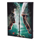 Zdjęcie produktu Harry Potter - Harry vs. Voldemort Obraz na płótnie z podświetleniem