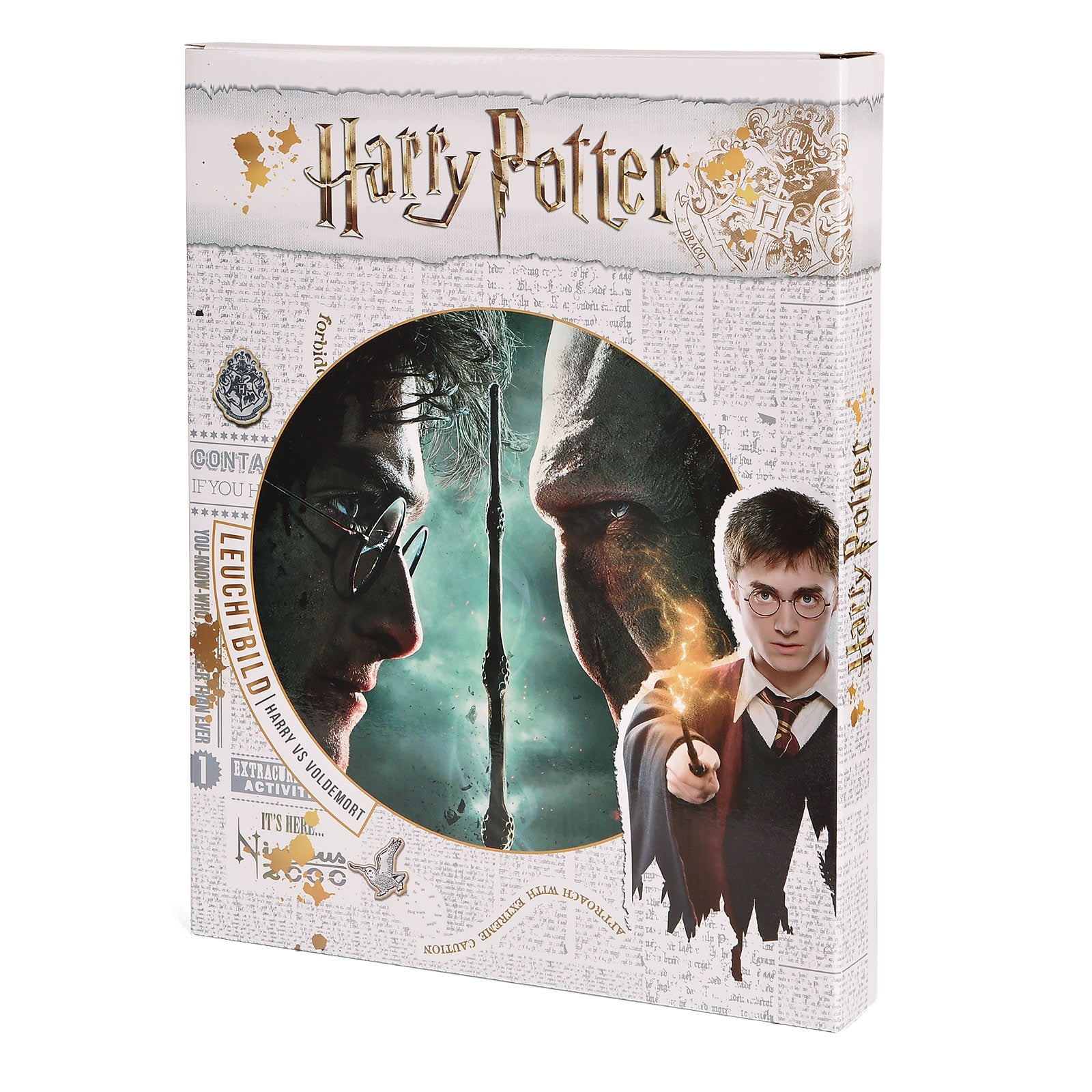 Zdjęcie produktu Harry Potter - Harry vs. Voldemort Obraz na płótnie z podświetleniem