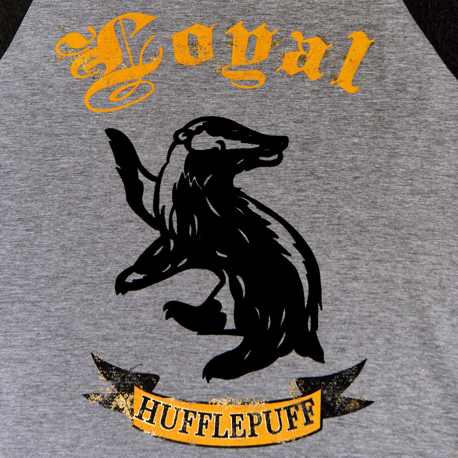 Zdjęcie produktu Harry Potter - Loyal Hufflepuff T-Shirt szary