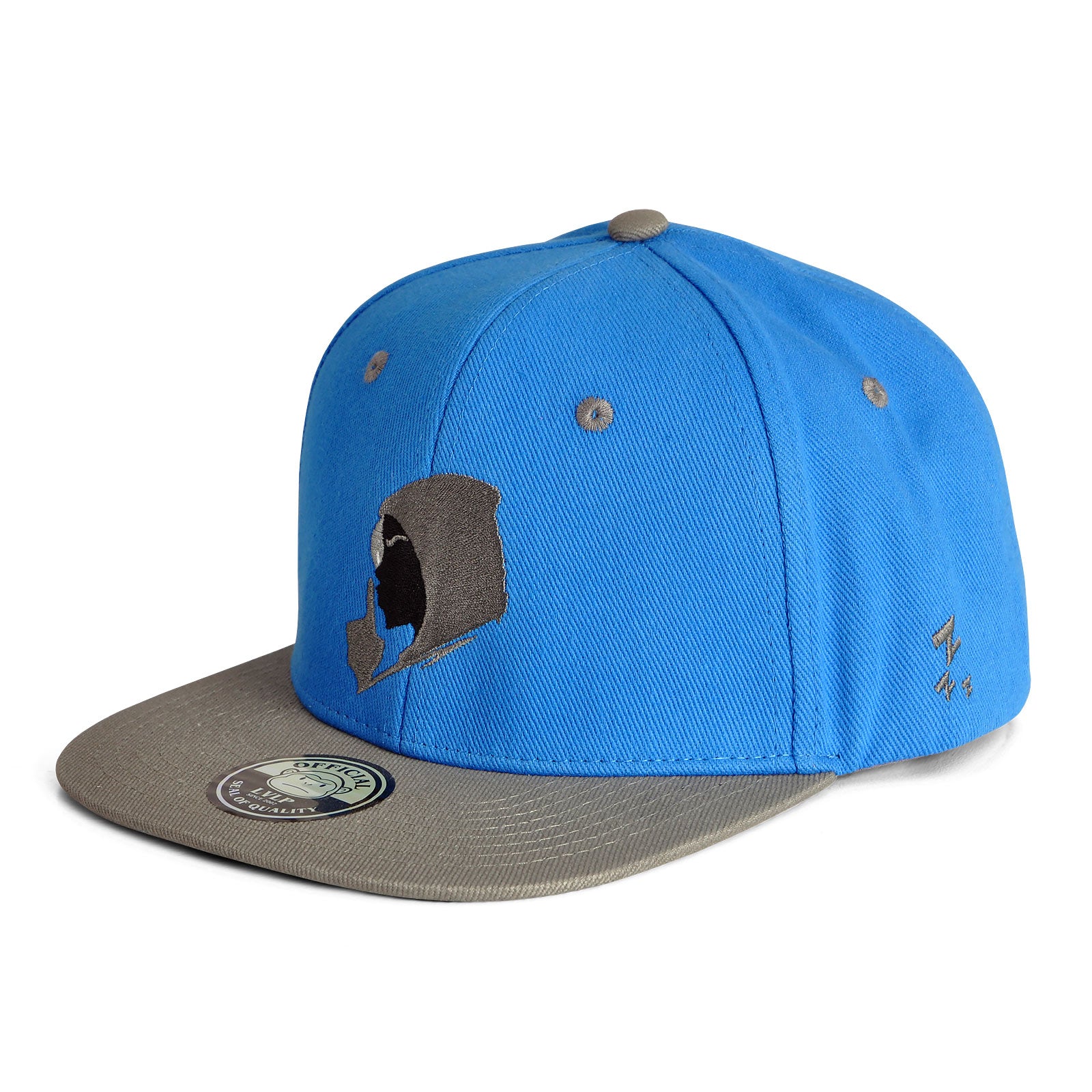 Zdjęcie produktu Overwatch - Ana Icon Snapback Cap