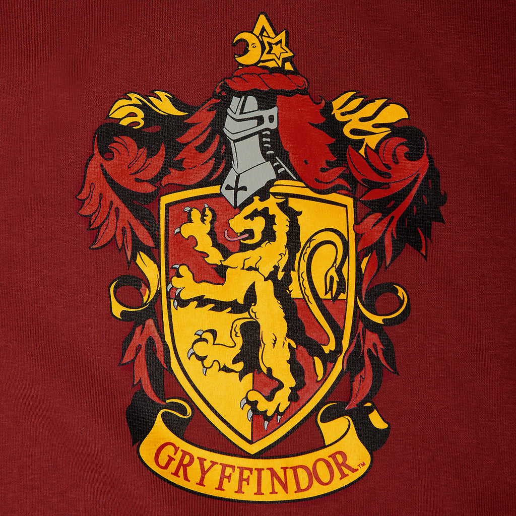 Zdjęcie produktu Harry Potter - Bluza z kapturem Gryffindor Herb