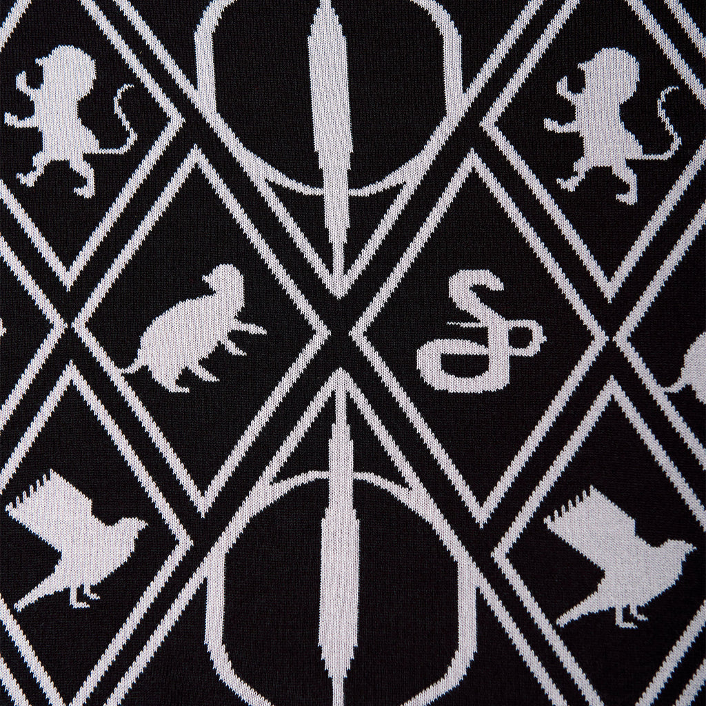 Zdjęcie produktu Harry Potter - Magic Symbols Poncho