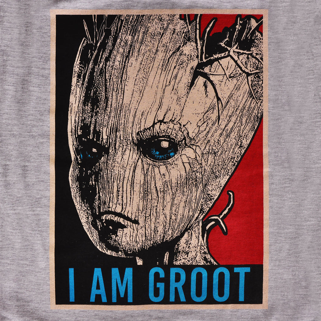 Zdjęcie produktu Guardians of the Galaxy - I Am Groot T-Shirt damskie szare
