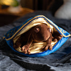 Zdjęcie produktu Harry Potter - Poduszka z Czekoladową Żabą i pluszową figurką