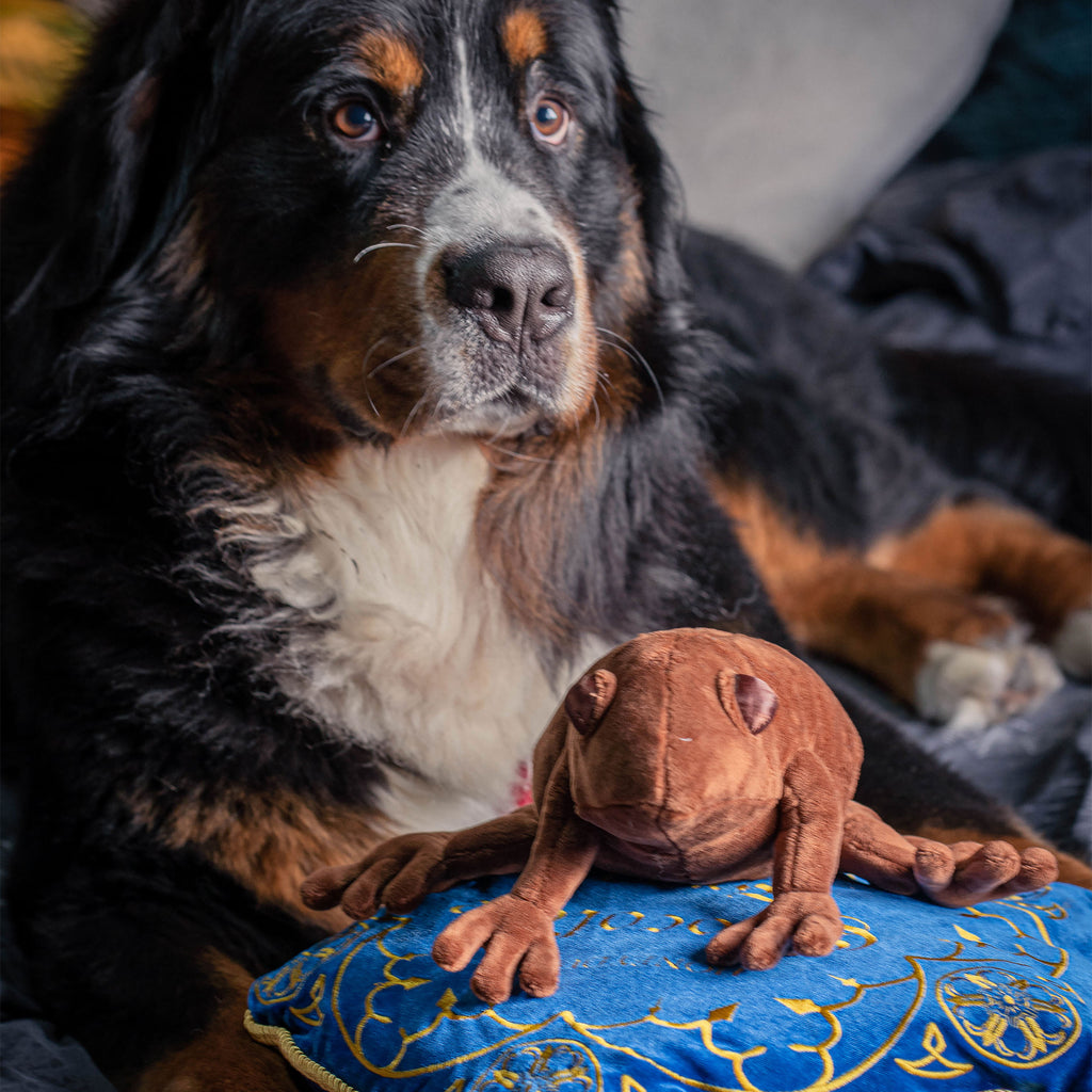 Zdjęcie produktu Harry Potter - Poduszka z Czekoladową Żabą i pluszową figurką