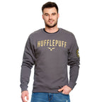 Product image Harry Potter - Team Hufflepuff Sweater grey
