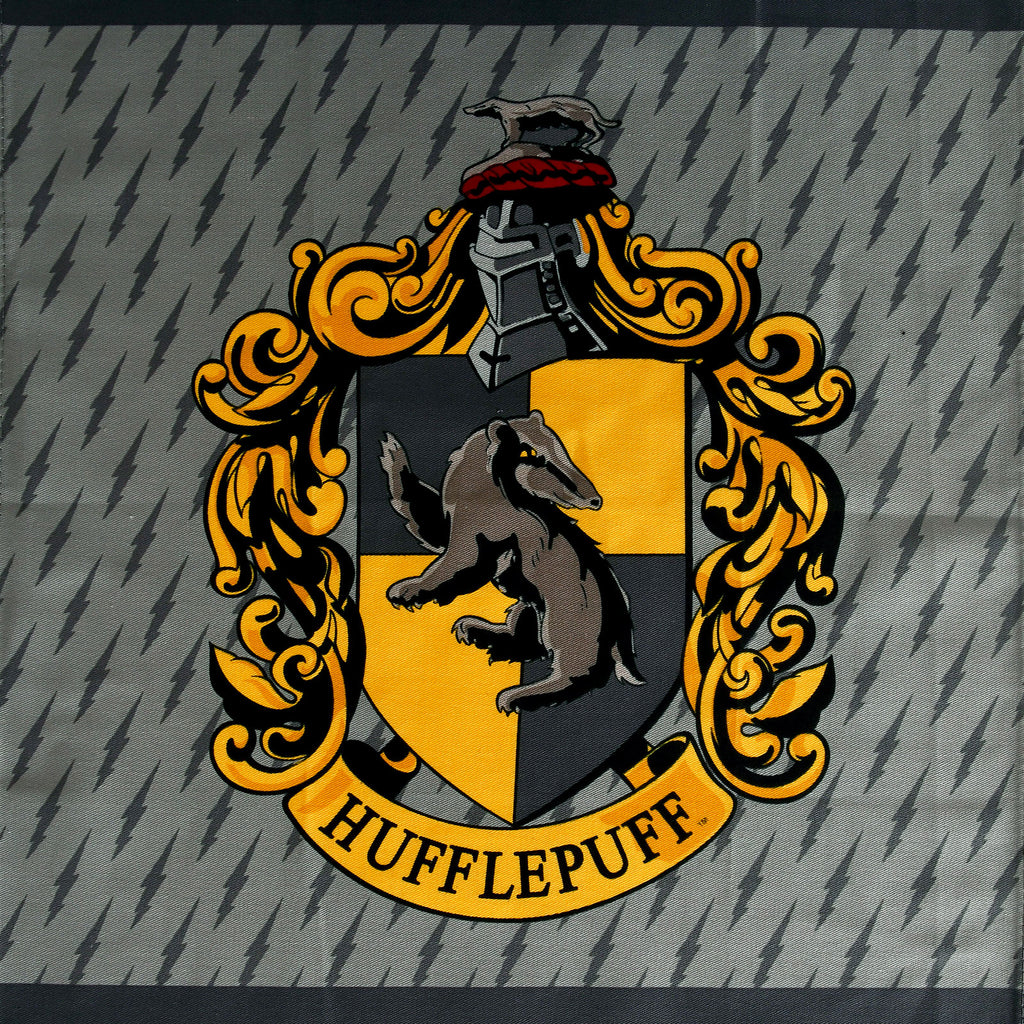 Zdjęcie produktu Harry Potter - Zestaw ściereczek kuchennych Hufflepuff & Hogwarts