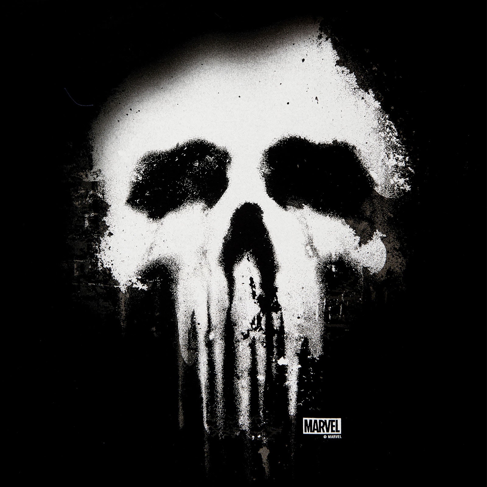 Product image Punisher - Faded Skull Logo T-Shirt Black