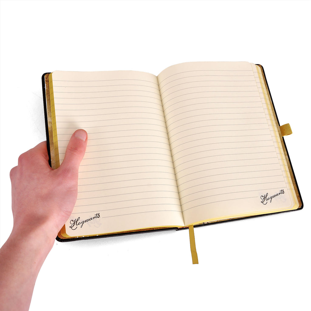 Zdjęcie produktu Harry Potter - Hufflepuff Art Premium Notes A5