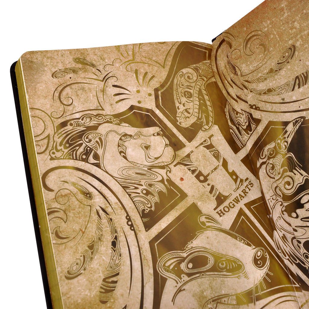 Zdjęcie produktu Harry Potter - Hufflepuff Art Premium Notes A5