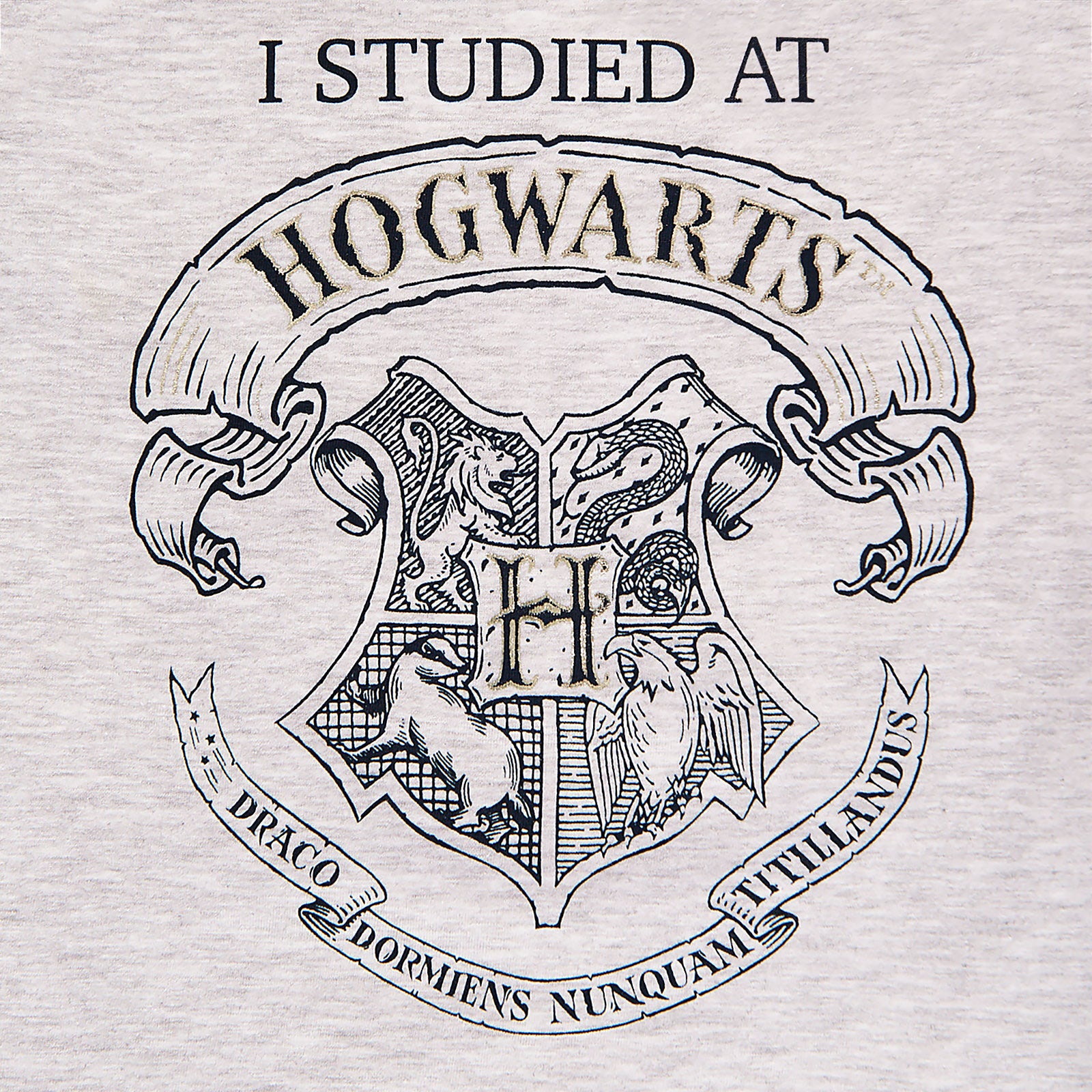 Zdjęcie produktu Harry Potter - Studiowałem w Hogwarcie Koszulka dziecięca