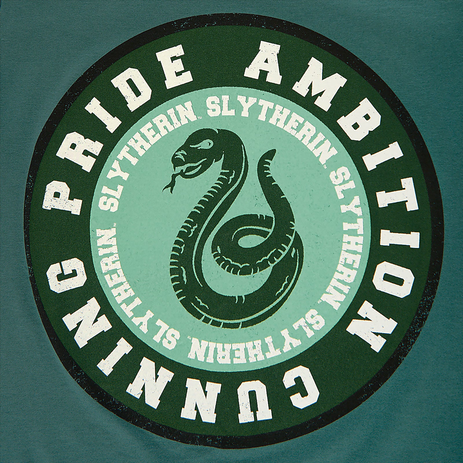 Zdjęcie produktu Harry Potter - Slytherin Values T-Shirt zielony