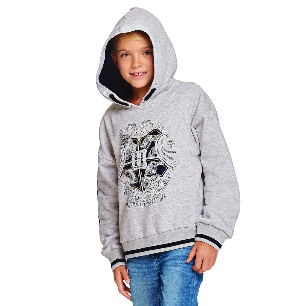 Zdjęcie produktu Harry Potter - Dziecięca bluza z kapturem Hogwarts szara